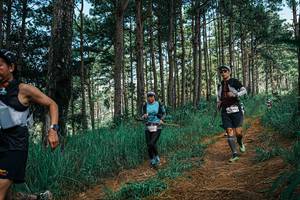 BIB: 
                            <button type="button" onclick="openModal(25757687)" class="btn btn-primary btn-sm float-right btn-popup" data-toggle="modal" data-target=".modal-high-quality">
                        <i class="fas fa-shopping-cart"></i> Add to Cart
                    </button>
                                            <button type="button" onclick="isThisMe(25757687, true)" class="btn btn-success btn-sm float-right btn-popup btn-isme hidden" data-toggle="tooltip" data-placement="bottom" title="นี่คือรูปของคุณใช่ไหม คลิกที่นี่เพื่อเอาเข้าอัลบั้ม">
                        <i class="fas fa-plus"></i> Add to album
                    </button>
                    <button type="button" onclick="isThisMe(25757687, false)" class="btn btn-warning btn-sm float-right btn-popup btn-isnotme hidden">
                        <i class="fas fa-ban"></i> Remove from album
                    </button>